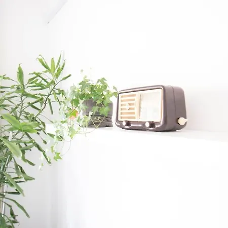 Vintage In